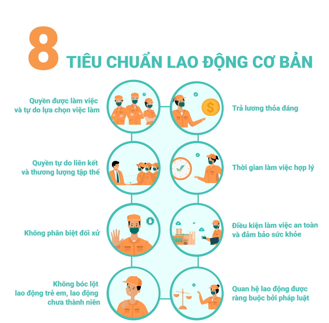 Wecheck Cac Tieu Chuan Lao Dong Co Ban 1