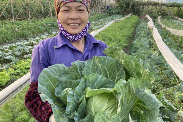Dự án “Cải thiện sinh kế cho các nông dân sản xuất quy mô nhỏ, lẻ thông qua: xây dựng chuỗi giá trị nông sản và cải thiện tiếp cận thị trường”