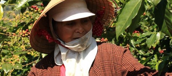 Project: Improving livelihoods of Vietnamese small-scale farmers: Building agri-food value chains and improving market access
