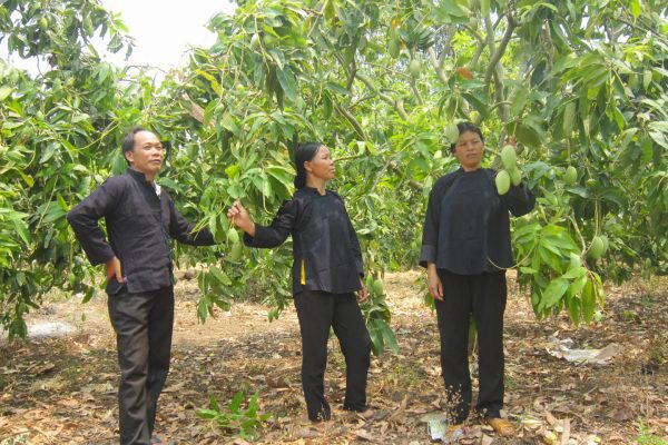 Dự án “Tăng cường trách nhiệm giải trình và quản trị tốt cho giảm nghèo bền vững ở huyện Dak Mil, tỉnh Đăk Nông” 